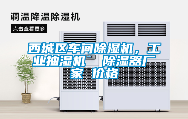 西城區(qū)車間除濕機(jī)，工業(yè)抽濕機(jī)  除濕器廠家 價(jià)格