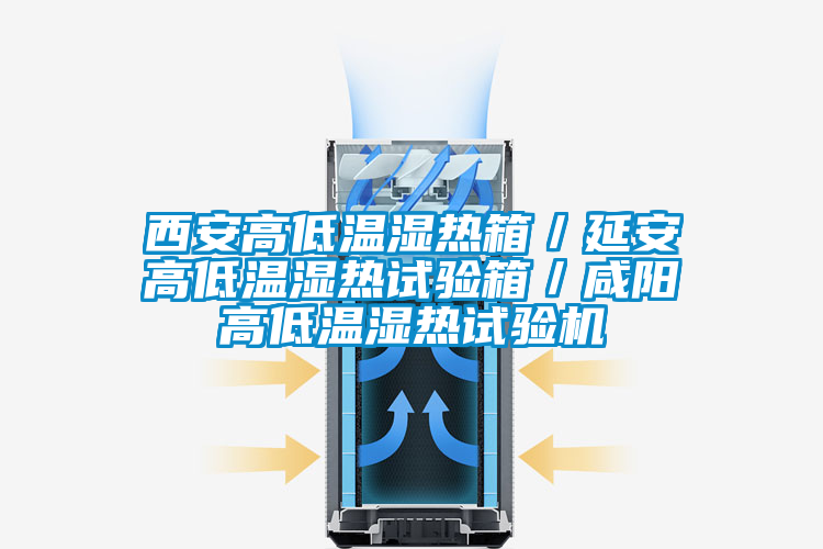 西安高低溫濕熱箱／延安高低溫濕熱試驗箱／咸陽高低溫濕熱試驗機(jī)