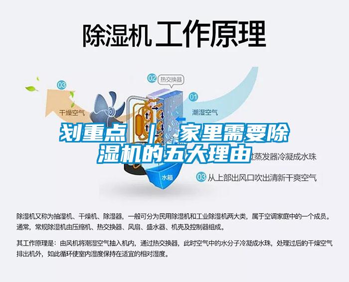 劃重點 ｜ 家里需要除濕機(jī)的五大理由
