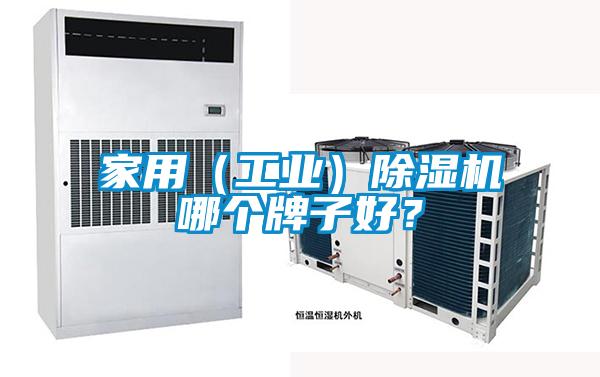 家用（工業(yè)）除濕機哪個牌子好？