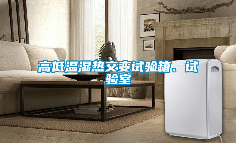 高低溫濕熱交變試驗(yàn)箱、試驗(yàn)室