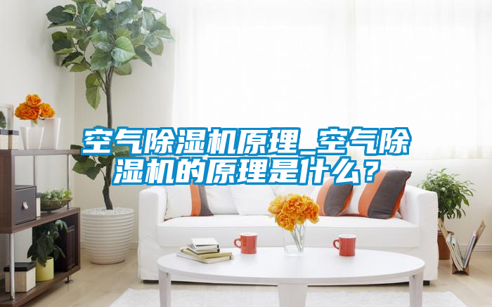 空氣除濕機(jī)原理_空氣除濕機(jī)的原理是什么？