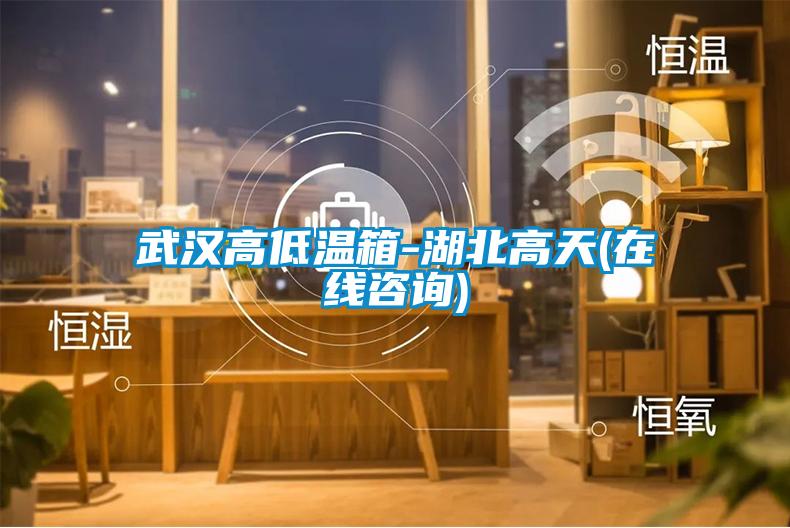 武漢高低溫箱-湖北高天(在線咨詢(xún))