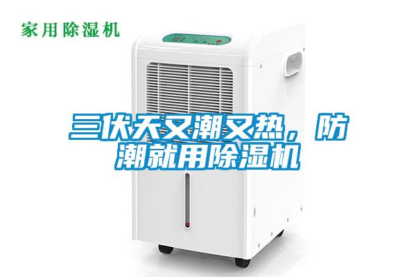 三伏天又潮又熱，防潮就用除濕機(jī)