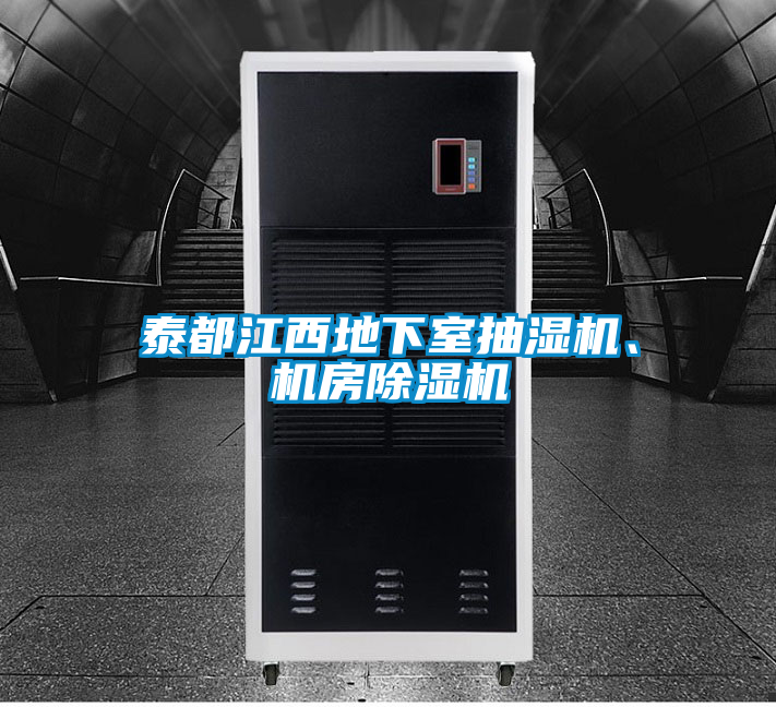 泰都江西地下室抽濕機、機房除濕機