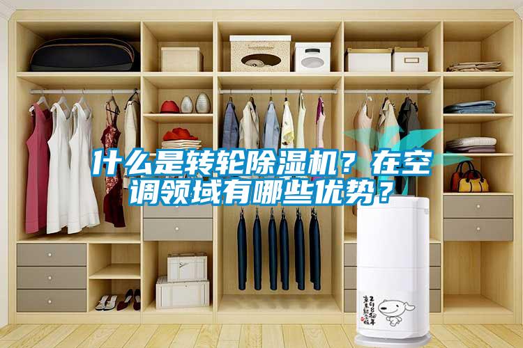 什么是轉(zhuǎn)輪除濕機(jī)？在空調(diào)領(lǐng)域有哪些優(yōu)勢(shì)？