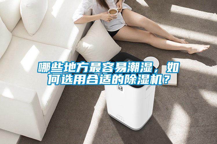 哪些地方最容易潮濕，如何選用合適的除濕機(jī)？