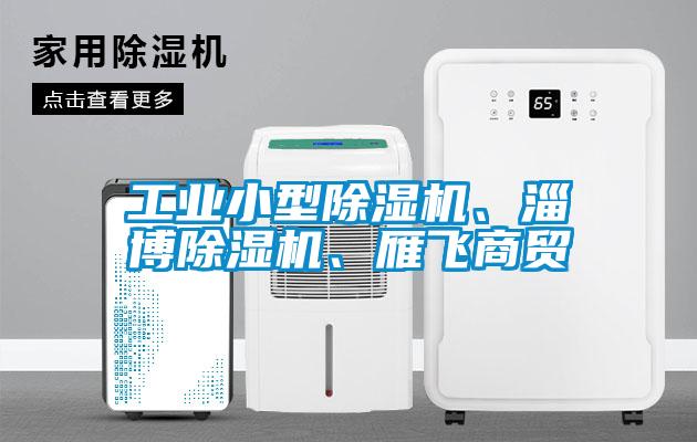 工業(yè)小型除濕機(jī)、淄博除濕機(jī)、雁飛商貿(mào)