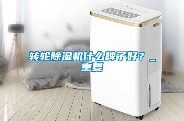 轉(zhuǎn)輪除濕機(jī)什么牌子好？_重復(fù)