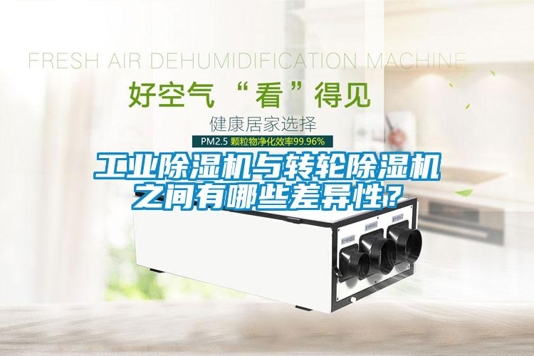 工業(yè)除濕機與轉(zhuǎn)輪除濕機之間有哪些差異性？
