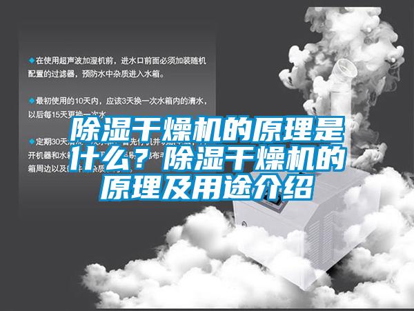 除濕干燥機(jī)的原理是什么？除濕干燥機(jī)的原理及用途介紹
