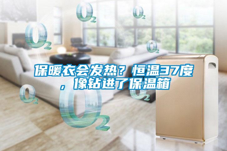 保暖衣會發(fā)熱？恒溫37度，像鉆進了保溫箱