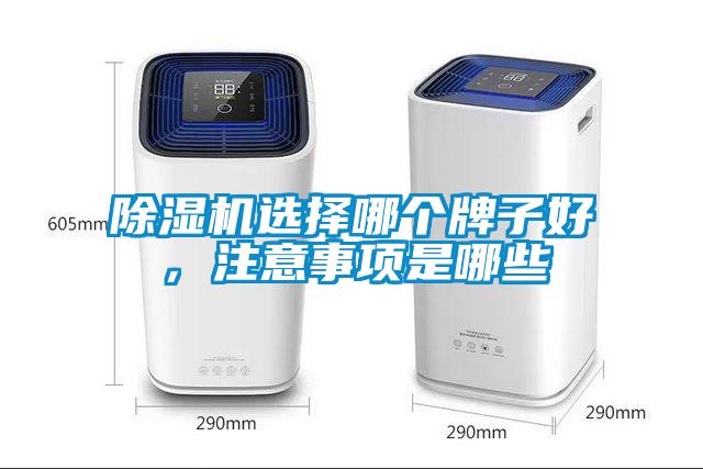 除濕機選擇哪個牌子好，注意事項是哪些