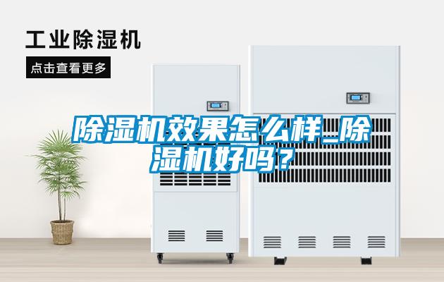 除濕機效果怎么樣_除濕機好嗎？