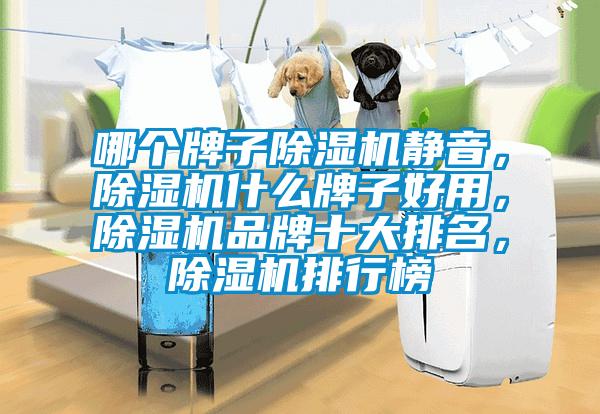 哪個(gè)牌子除濕機(jī)靜音，除濕機(jī)什么牌子好用，除濕機(jī)品牌十大排名，除濕機(jī)排行榜
