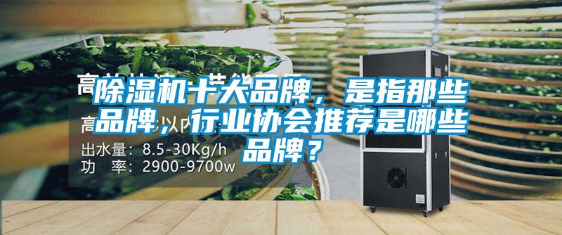 除濕機(jī)十大品牌，是指那些品牌，行業(yè)協(xié)會(huì)推薦是哪些品牌？
