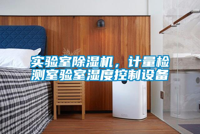 實(shí)驗(yàn)室除濕機(jī)，計(jì)量檢測(cè)室驗(yàn)室濕度控制設(shè)備