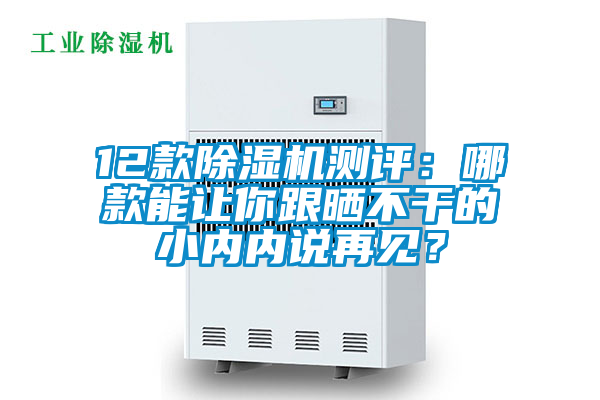 12款除濕機測評：哪款能讓你跟曬不干的小內(nèi)內(nèi)說再見？