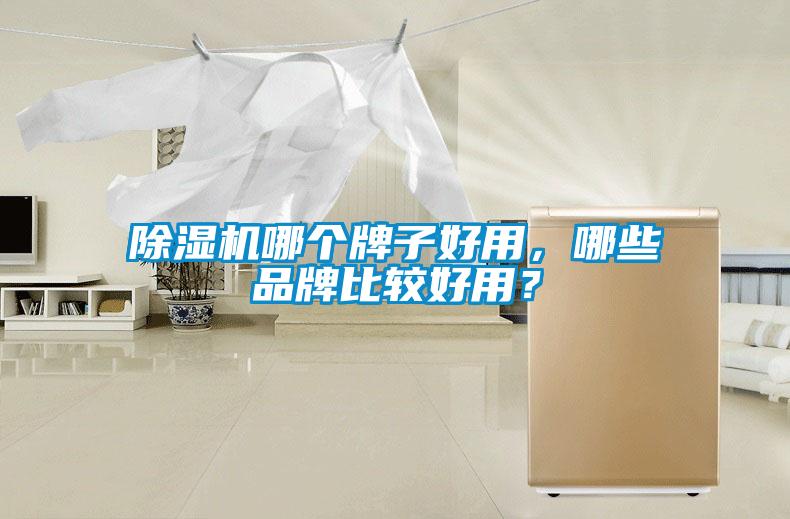 除濕機哪個牌子好用，哪些品牌比較好用？