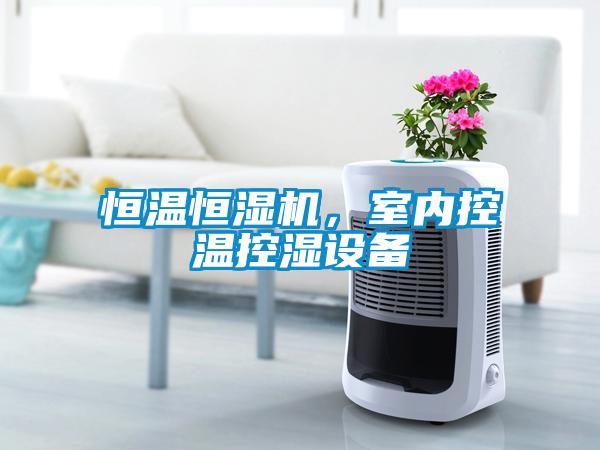 恒溫恒濕機(jī)，室內(nèi)控溫控濕設(shè)備