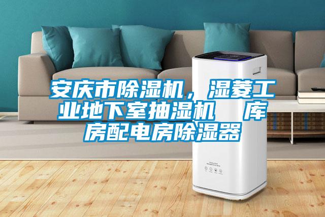 安慶市除濕機(jī)，濕菱工業(yè)地下室抽濕機(jī)  庫(kù)房配電房除濕器