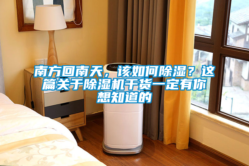 南方回南天，該如何除濕？這篇關(guān)于除濕機(jī)干貨一定有你想知道的
