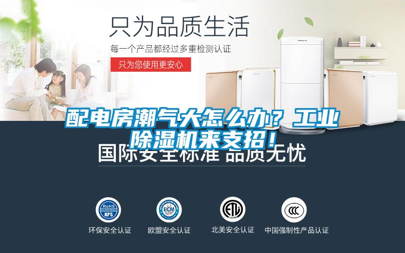 配電房潮氣大怎么辦？工業(yè)除濕機來支招！
