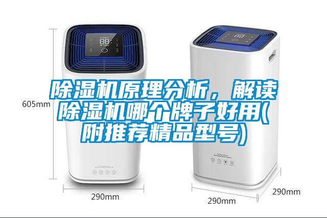除濕機(jī)原理分析，解讀除濕機(jī)哪個牌子好用(附推薦精品型號)