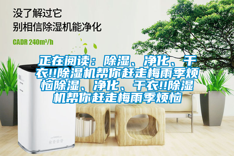 正在閱讀：除濕、凈化、干衣!!除濕機(jī)幫你趕走梅雨季煩惱除濕、凈化、干衣!!除濕機(jī)幫你趕走梅雨季煩惱