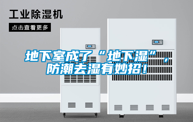 地下室成了“地下濕”，防潮去濕有妙招！