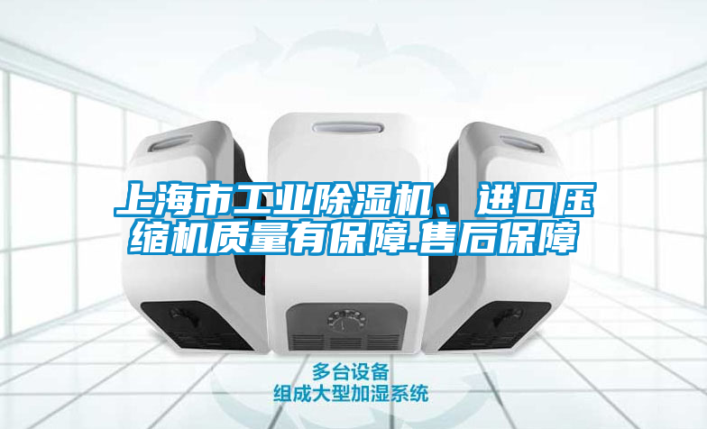 上海市工業(yè)除濕機、進口壓縮機質量有保障.售后保障