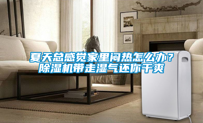 夏天總感覺家里悶熱怎么辦？除濕機(jī)帶走濕氣還你干爽