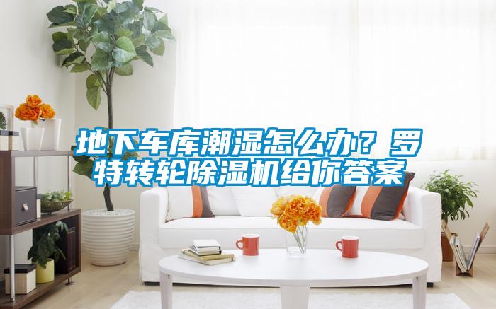 地下車庫潮濕怎么辦？羅特轉(zhuǎn)輪除濕機給你答案