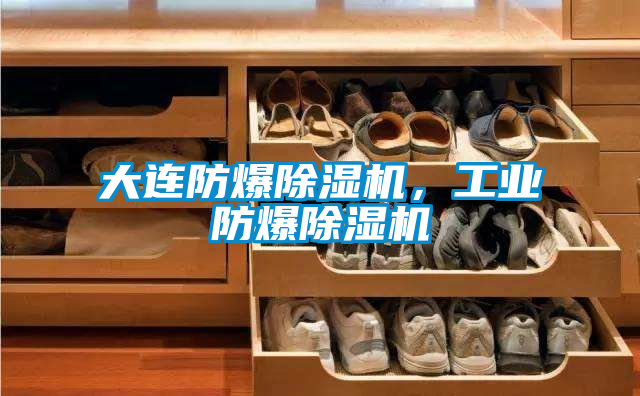 大連防爆除濕機(jī)，工業(yè)防爆除濕機(jī)