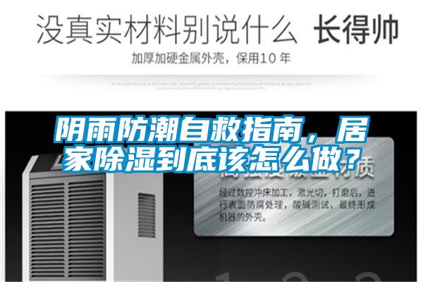 陰雨防潮自救指南，居家除濕到底該怎么做？