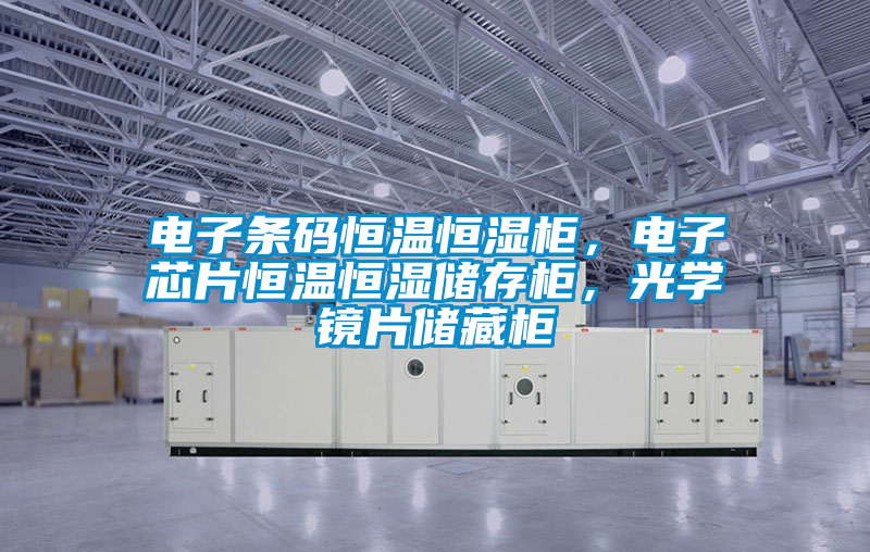 電子條碼恒溫恒濕柜，電子芯片恒溫恒濕儲(chǔ)存柜，光學(xué)鏡片儲(chǔ)藏柜