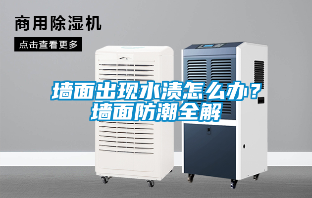 墻面出現(xiàn)水漬怎么辦？墻面防潮全解