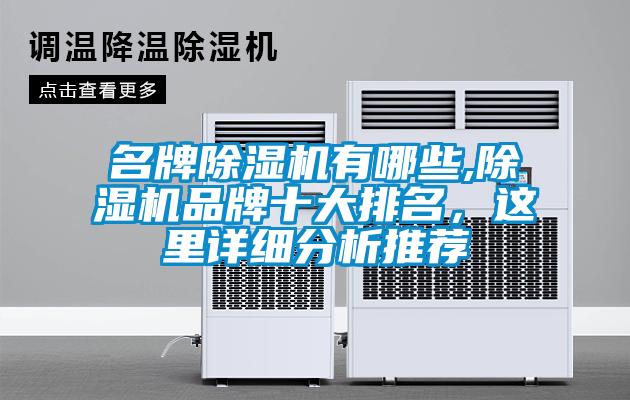 名牌除濕機(jī)有哪些,除濕機(jī)品牌十大排名，這里詳細(xì)分析推薦