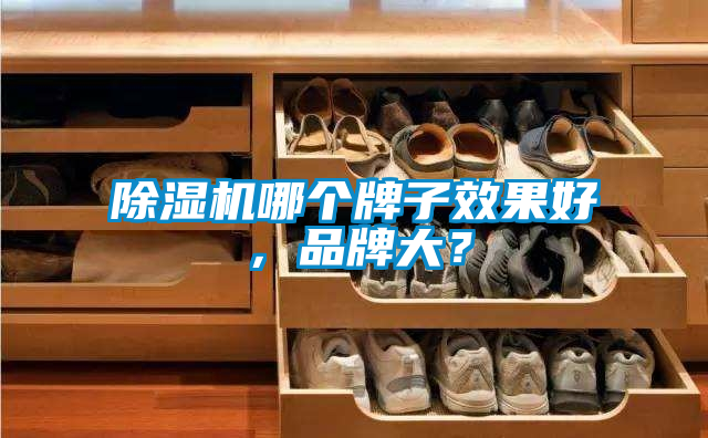 除濕機(jī)哪個(gè)牌子效果好，品牌大？