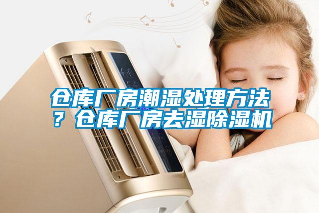 倉(cāng)庫(kù)廠(chǎng)房潮濕處理方法？倉(cāng)庫(kù)廠(chǎng)房去濕除濕機(jī)