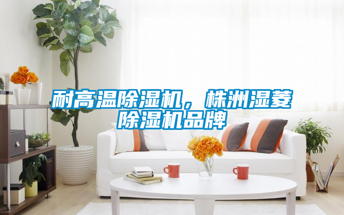 耐高溫除濕機，株洲濕菱除濕機品牌