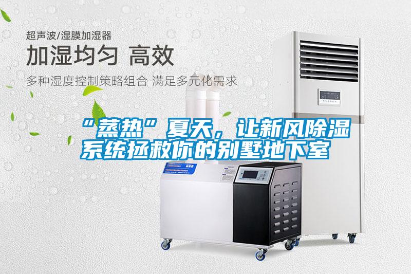 “蒸熱”夏天，讓新風(fēng)除濕系統(tǒng)拯救你的別墅地下室