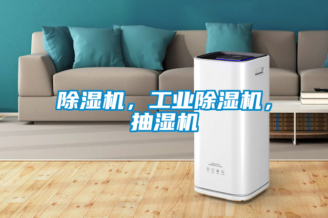 除濕機(jī)，工業(yè)除濕機(jī)，抽濕機(jī)