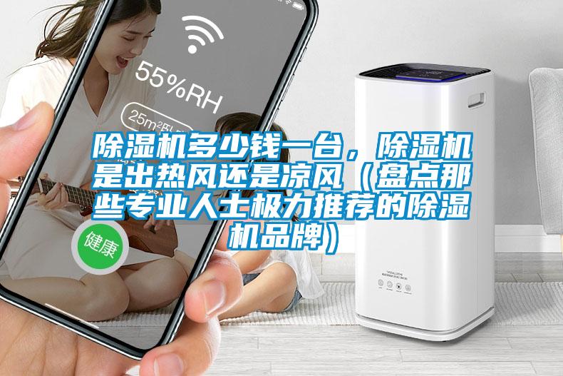 除濕機多少錢一臺，除濕機是出熱風(fēng)還是涼風(fēng)（盤點那些專業(yè)人士極力推薦的除濕機品牌）