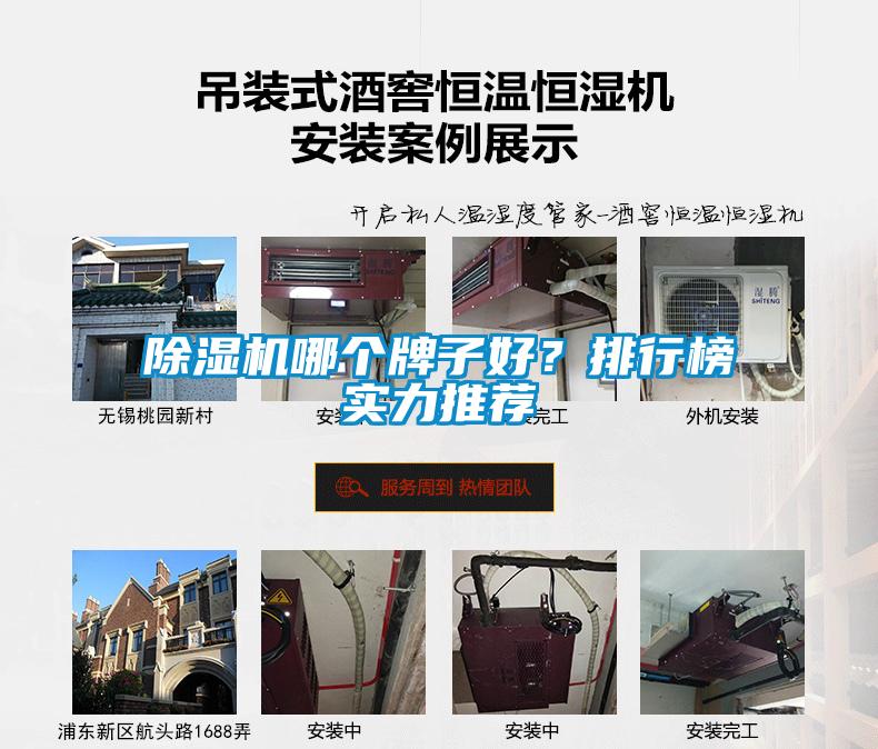 除濕機(jī)哪個牌子好？排行榜實(shí)力推薦