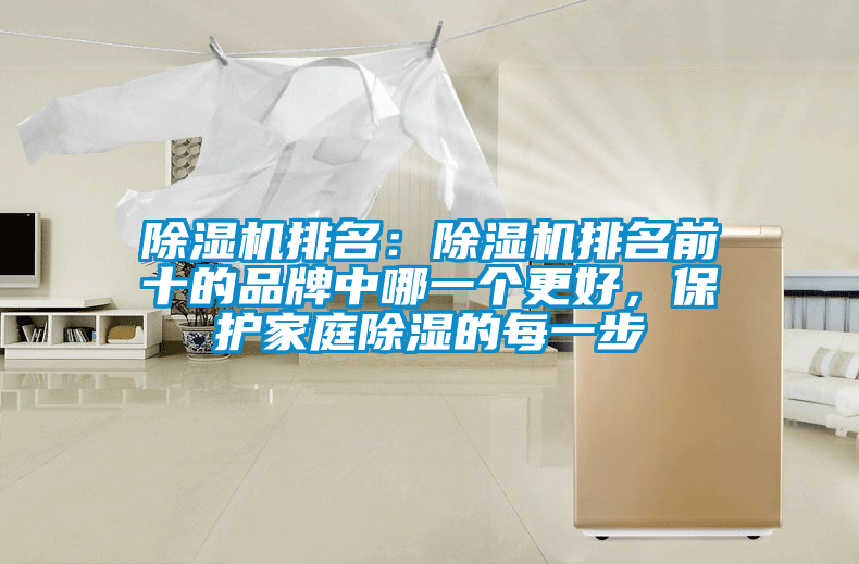 除濕機(jī)排名：除濕機(jī)排名前十的品牌中哪一個(gè)更好，保護(hù)家庭除濕的每一步