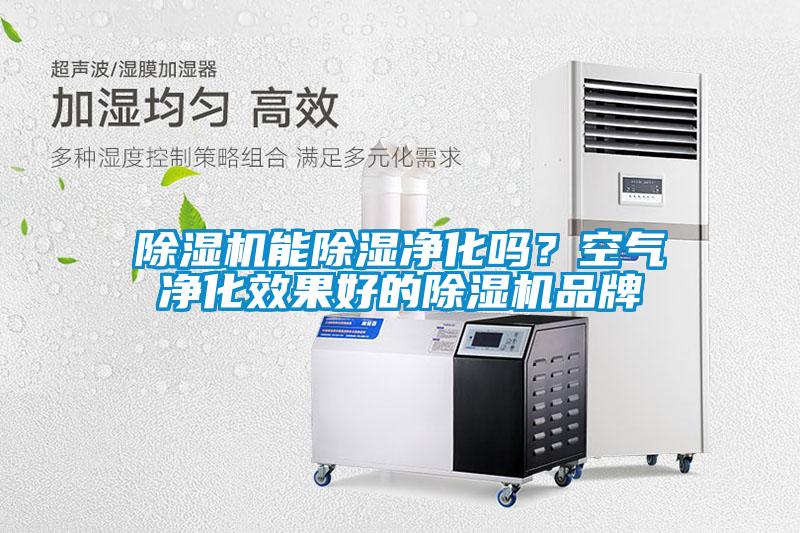 除濕機(jī)能除濕凈化嗎？空氣凈化效果好的除濕機(jī)品牌