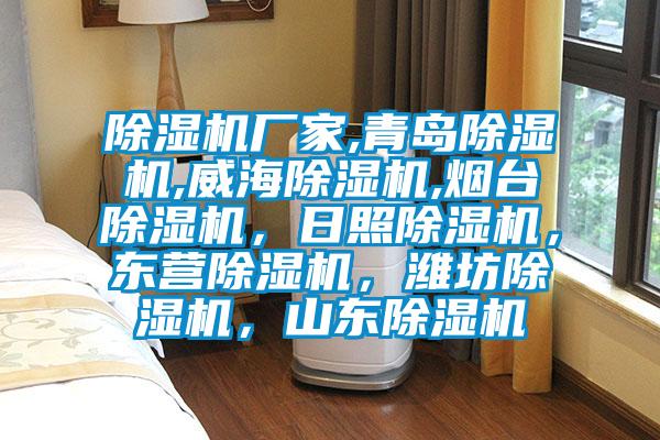 除濕機廠家,青島除濕機,威海除濕機,煙臺除濕機，日照除濕機，東營除濕機，濰坊除濕機，山東除濕機