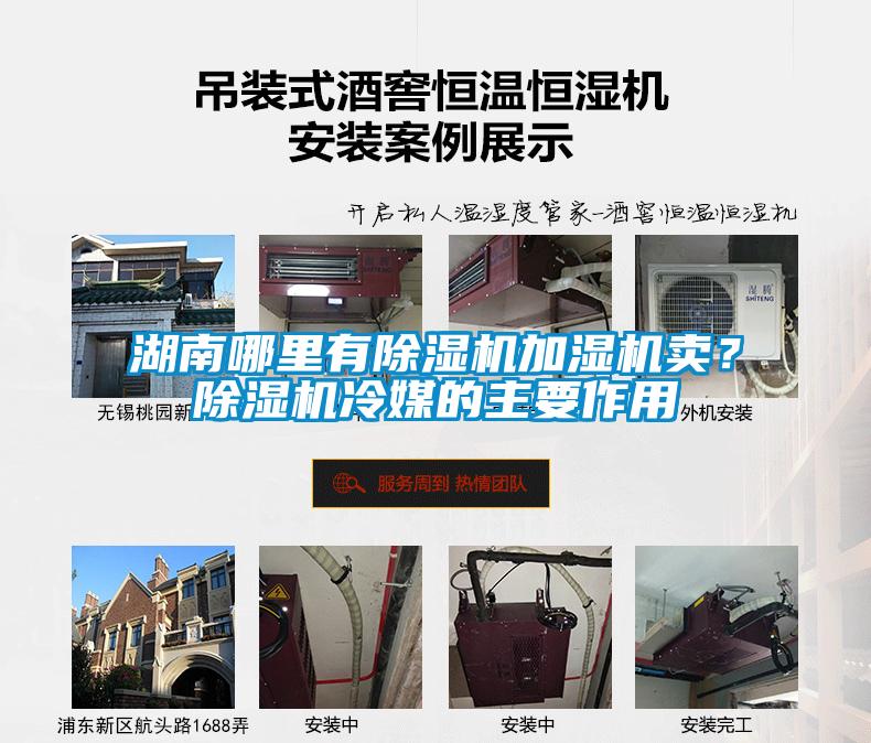 湖南哪里有除濕機(jī)加濕機(jī)賣？除濕機(jī)冷媒的主要作用
