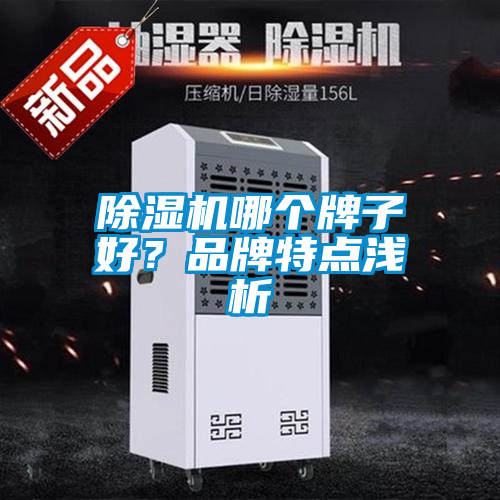 除濕機哪個牌子好？品牌特點淺析